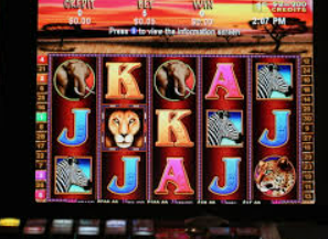 华体app官方下载入口最新版